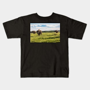 Bison Herd Kids T-Shirt